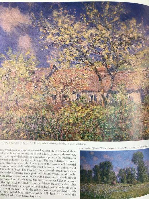 莫奈：自然变为艺术 281幅插图 精装大16开 商品图11