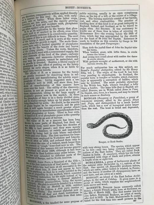 含中国内容！1880年 钱伯斯百科全书（卷2） 数百幅版画插图 真皮精装16开 商品图9