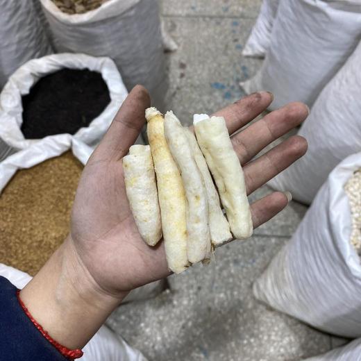 明党参  常用规格 川明参 切断 大支 商品图4