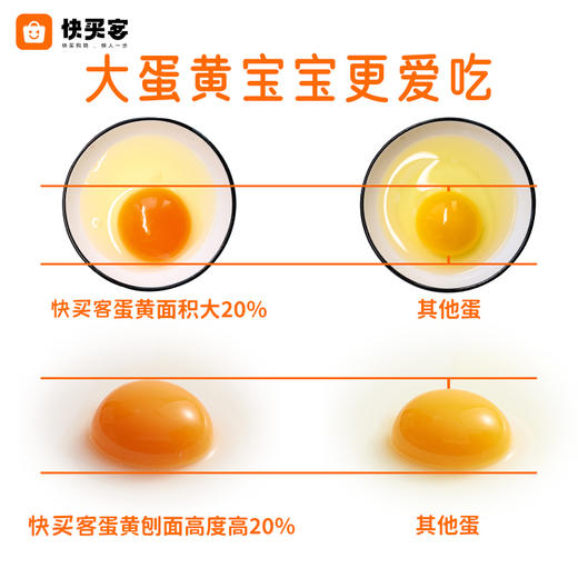 【60枚】快买客 乡村振兴无抗生素鸡蛋 商品图2