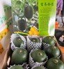 山泉水迷你小冬瓜 | 蔬果 商品缩略图1