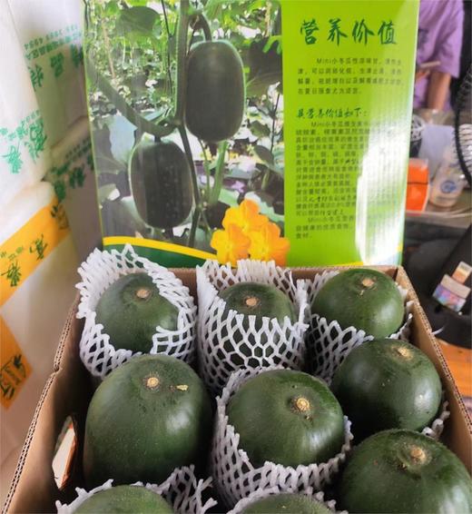 山泉水迷你小冬瓜 | 蔬果 商品图1