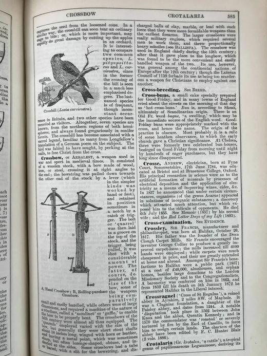 含中国内容！1889年 钱伯斯百科全书（卷3） 数百幅插图 真皮精装16开 商品图13