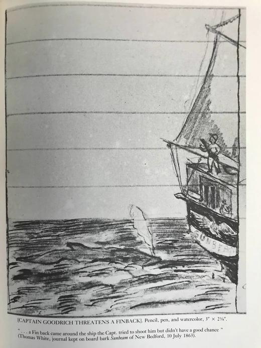 肯德尔捕鲸博物馆藏品图集 约百幅插图 精装16开 商品图13