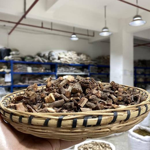 五爪金龙 商品图1