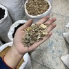 祖师麻 商品缩略图4