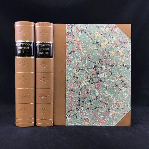 1854年 英国蛾类图鉴（全2卷） 124页手工上色版画插图 真皮精装16开 商品图0