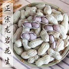 【闽西特产！龙岩湿烤花生】甄选优质食材，人工精选粒粒饱满，传统工艺制作，香酥可口，福建龙岩紫衣花生，水煮香脆五香新货咸干L