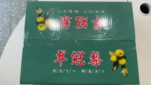 2024翠冠梨（箱装） 商品图0