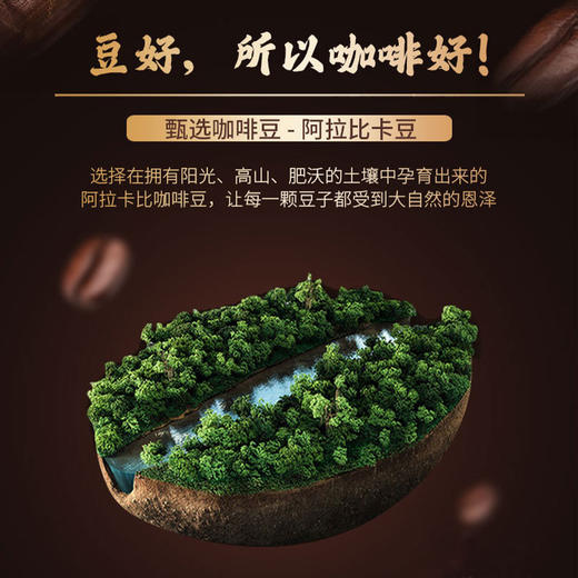 严选高山咖啡豆 实典黑巧咖啡豆云南阿拉比卡深度烘焙特选拼配意式商用454g意式浓缩碳烧蓝山咖啡豆新鲜烘焙 商品图4