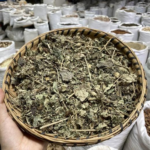 芙蓉叶 商品图2