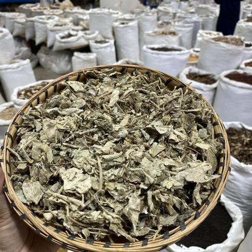 寻骨风 商品图4