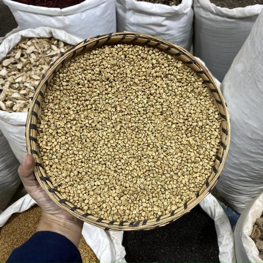 白牵牛 白丑 商品图0