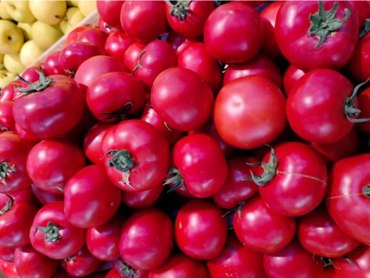 红宝石柿子3斤 商品图1