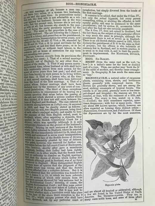 含中国内容！1880年 钱伯斯百科全书（卷2） 数百幅版画插图 真皮精装16开 商品图13