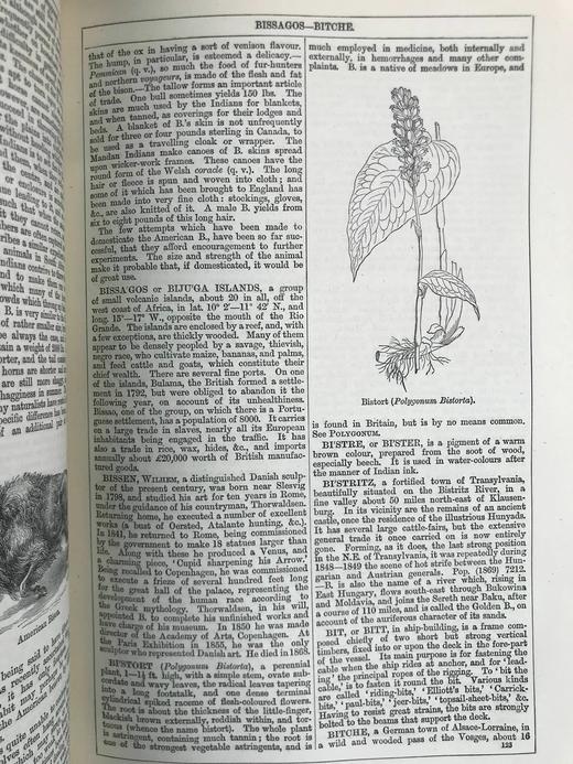 含中国内容！1880年 钱伯斯百科全书（卷2） 数百幅版画插图 真皮精装16开 商品图11