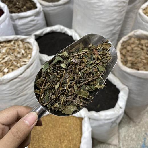 肺心草 商品图4