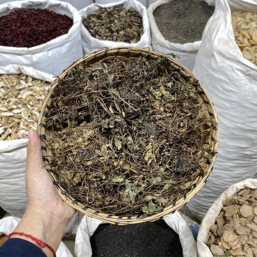 肺心草 商品图0