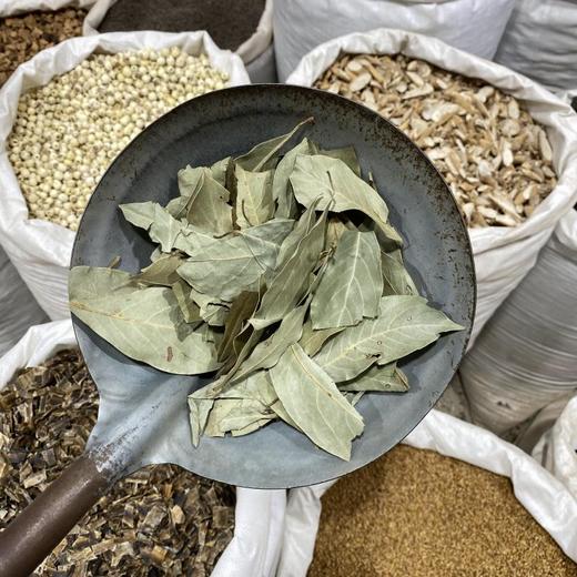 冬青叶 商品图3