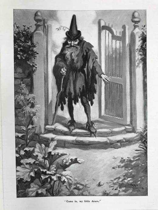 1906年 动物世界杂志 数百幅插图 漆布精装16开 商品图3