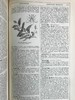 含中国内容！1889年 钱伯斯百科全书（卷3） 数百幅插图 真皮精装16开 商品缩略图8