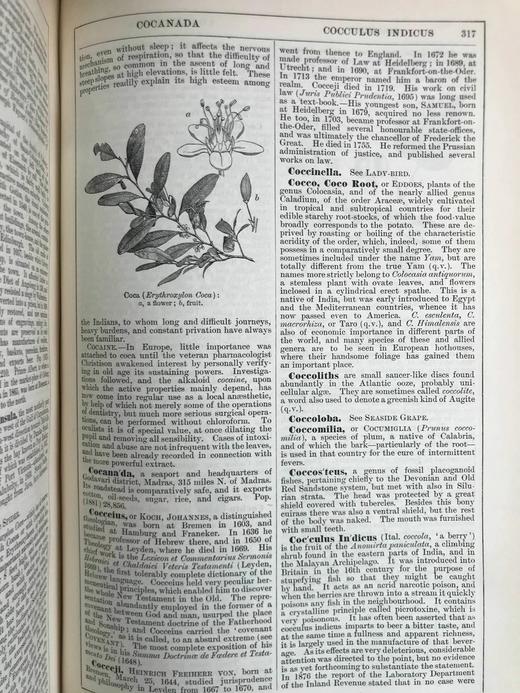 含中国内容！1889年 钱伯斯百科全书（卷3） 数百幅插图 真皮精装16开 商品图8