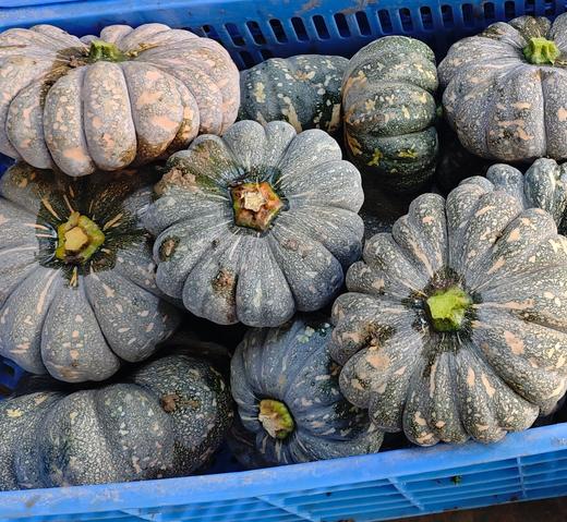 生态磨盘南瓜 | 绿家自产*ecological pumpkin | Self-production 商品图0