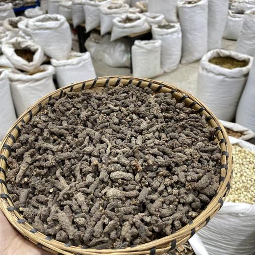 天葵子  紫背天葵 商品图4