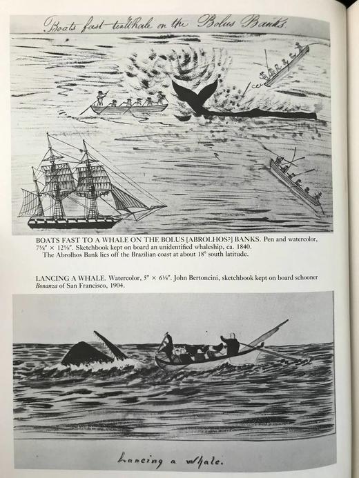 肯德尔捕鲸博物馆藏品图集 约百幅插图 精装16开 商品图11