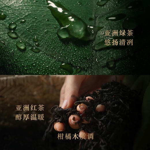 【小样】阿玛尼贵族清新香水玉龙茶香7.5ml/102329 诗意茶香悠扬人生无喷头 商品图1