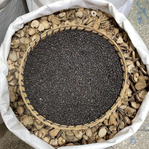 黑牵牛黑丑 商品图2