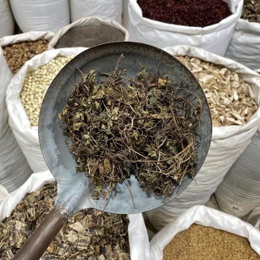 肺心草 商品图3