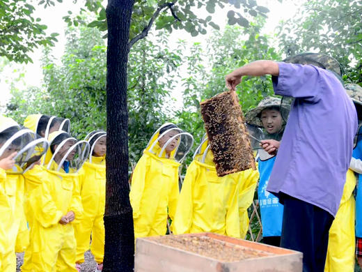 2天1夜独立营 | 营地专车接送，保定每日发车，外地可接站 专业老师带队 生活老师全程陪同 探野自然 生活体验营 商品图2