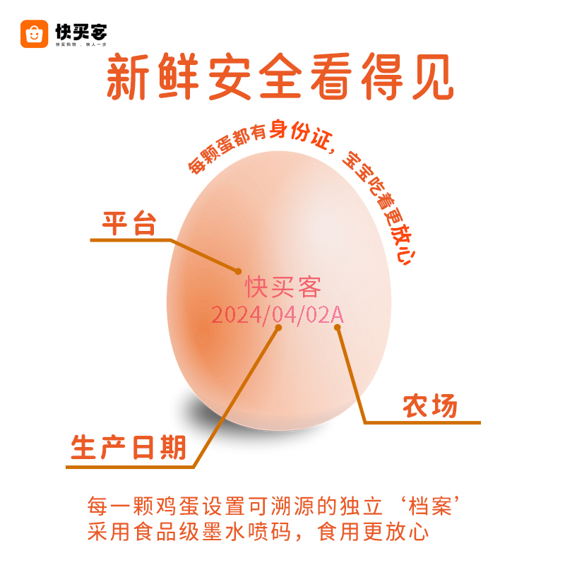 【会员专享】快买客无抗生素鸡蛋(10枚) 顺丰发货