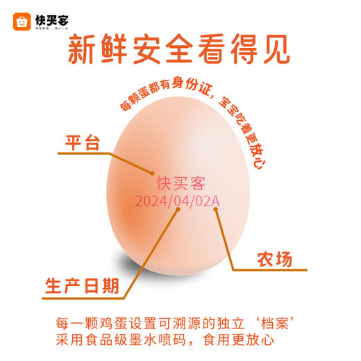 【60枚】快买客 乡村振兴无抗生素鸡蛋 商品图3