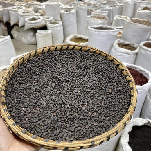 黑牵牛黑丑 商品图4