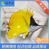 黄火箭Forcipiger Flavissimus 商品缩略图0