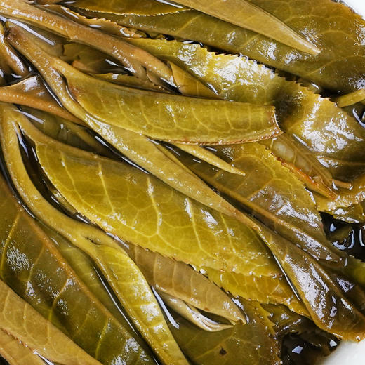 【七星千羽孔雀】2024年从经典走向经典，创造新的老味‘孔雀’普洱茶生茶357克/饼 拍5发6 商品图4