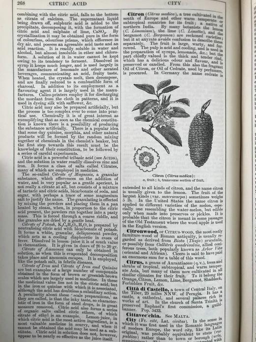 含中国内容！1889年 钱伯斯百科全书（卷3） 数百幅插图 真皮精装16开 商品图12