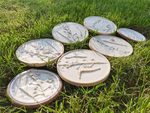 5天4夜独立营 | 营地专车接送，保定每日发车，外地可接站 专业老师带队 生活老师全程陪同 探野自然 生活体验营 商品图4