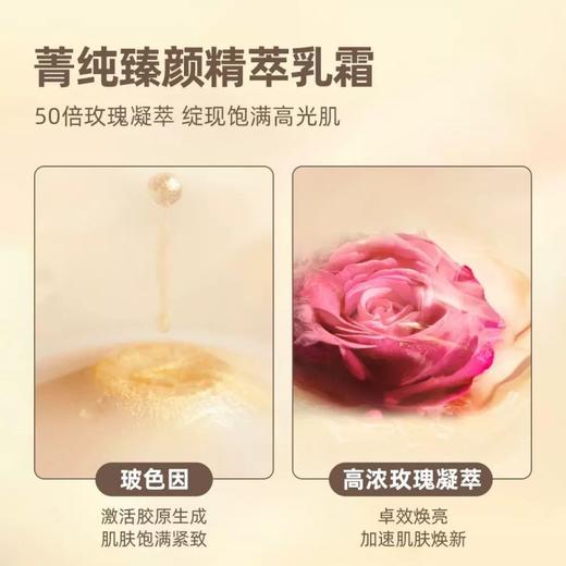 【限时特惠】Lancome 兰蔻菁纯面霜 清爽型/滋润型 15ml*4 商品图2