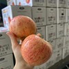 高山老树红富士苹果 | 水果 商品缩略图1
