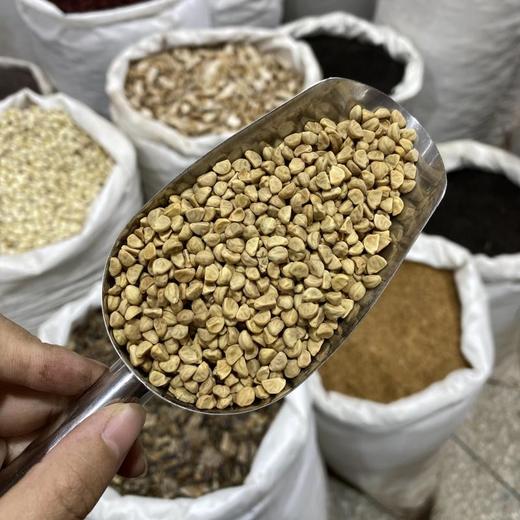 白牵牛 白丑 商品图1