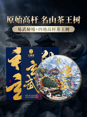 【神兽—玄武】2024年春茶 已入选易武博物馆 神兽事业部独立出品 普洱茶生茶 1箱内含5饼*357克礼盒装 拍5箱发6箱