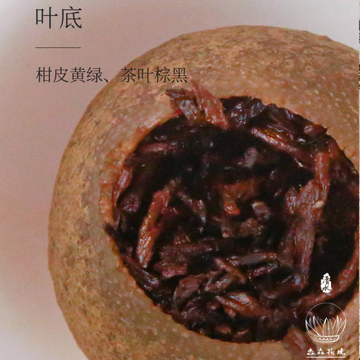 淼森花境丨新会小青柑陈皮普洱茶熟茶小青桔新茶叶正宗小柑橘柑普茶罐装 商品图4