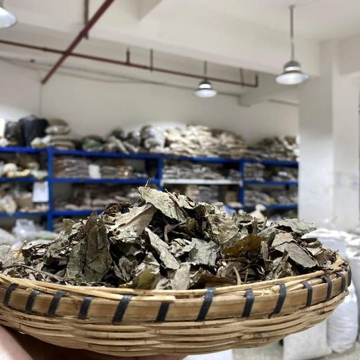 矮地茶  平地木  平地母 商品图1