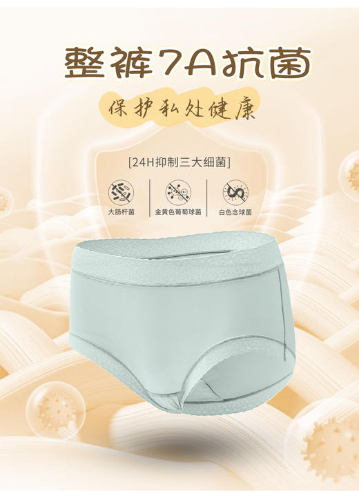 【蜀黍家】樱姿娜高弹莫代尔女内裤/聚乳酸内裤轻薄无痕透气女士内裤-精品礼盒装 商品图6