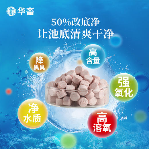 华畜50%改底净 改底除臭分解淤泥净水调水 商品图3