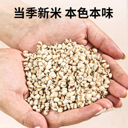 袋鼠小布贵州小薏仁米 450g/袋 商品图2
