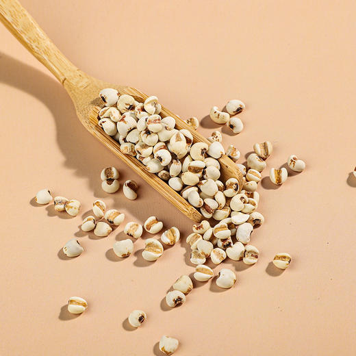 袋鼠小布贵州小薏仁米 450g/袋 商品图5